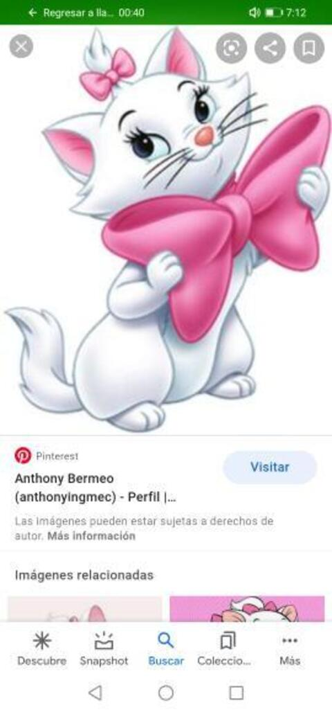 angierojas onlyfans leaked picture 1