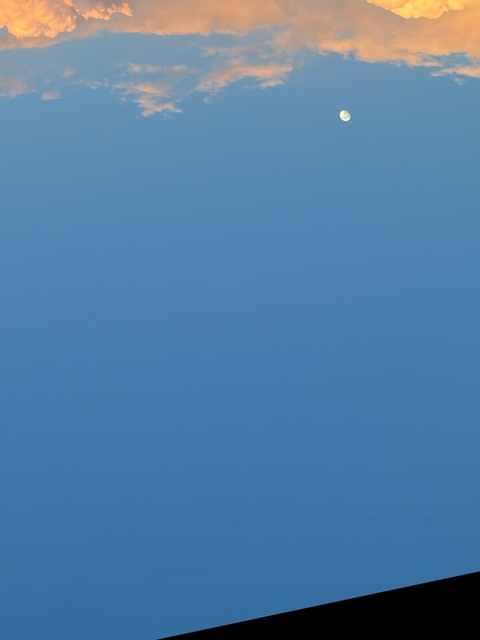 ariamorxxx onlyfans leaked picture 1