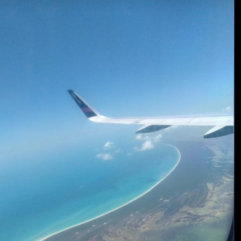 bella_arsenic onlyfans leaked picture 1