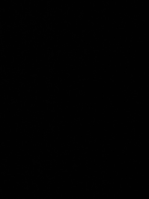 bisexualking6.9 onlyfans leaked picture 1