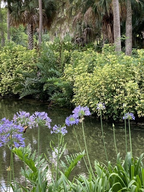 carolyn_kes onlyfans leaked picture 1