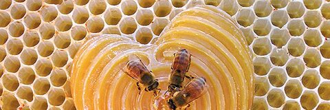 catacombcutie onlyfans leaked picture 1