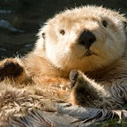 datottergirl onlyfans leaked picture 1