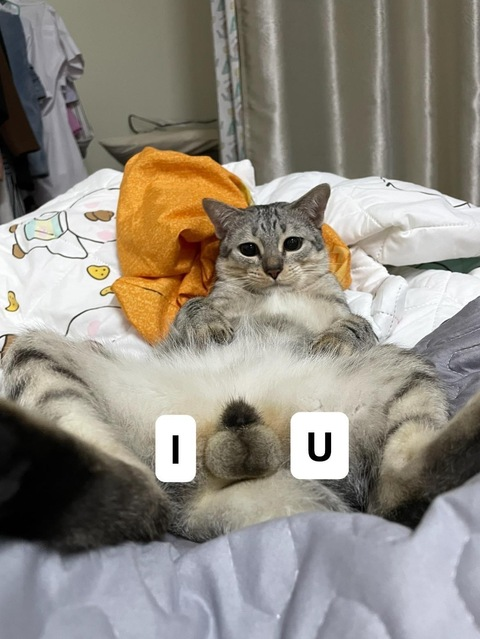 dirtybangg69 onlyfans leaked picture 1