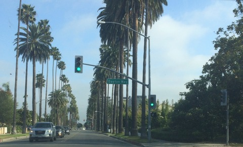 gingerfoxxx6 onlyfans leaked picture 1