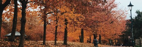 gxbbybyrne onlyfans leaked picture 1