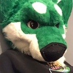 harlthehusky avatar