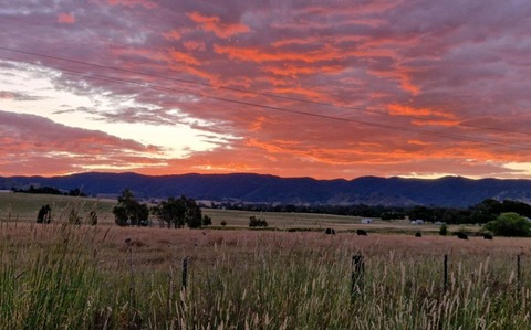 maxgoldworth onlyfans leaked picture 1