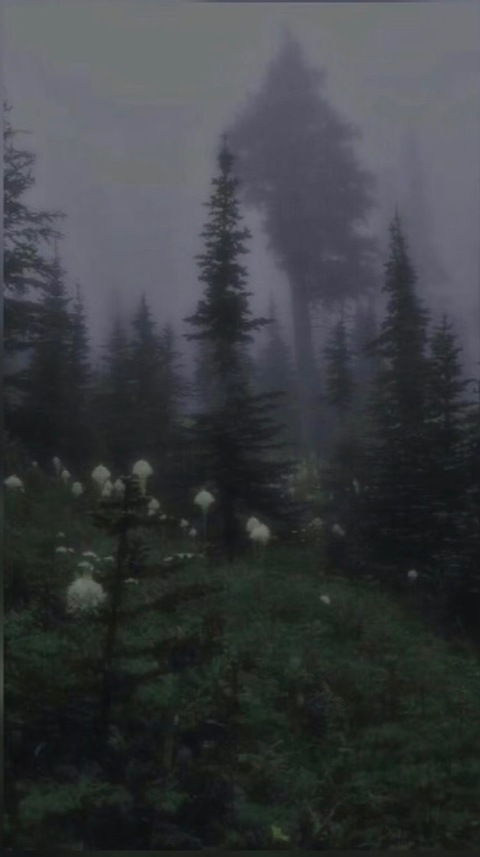 missss.amanda onlyfans leaked picture 1