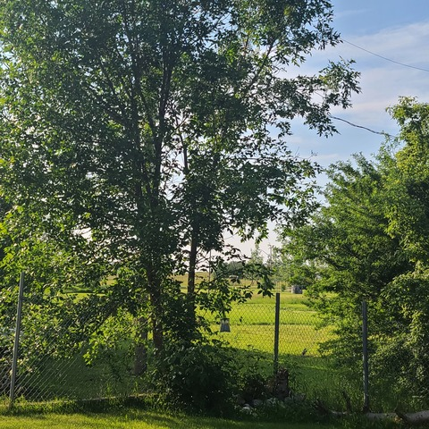 msshy25 onlyfans leaked picture 1