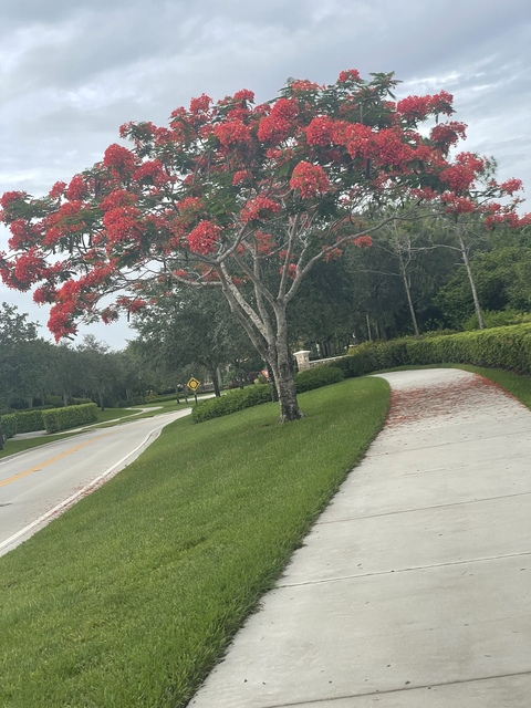 naomzies onlyfans leaked picture 1