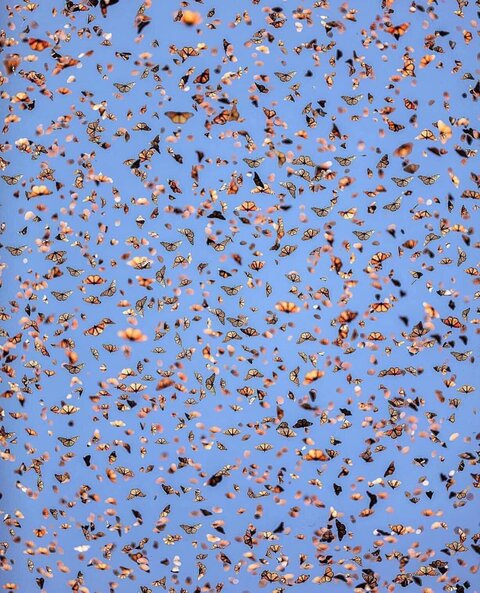 omgjulissa onlyfans leaked picture 1