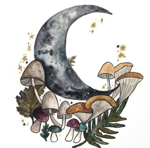 pineapplebratt79 onlyfans leaked picture 1