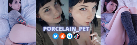 porcelain_pet onlyfans leaked picture 1