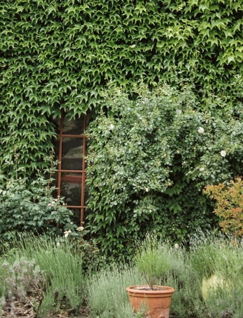 queenbeeh onlyfans leaked picture 1