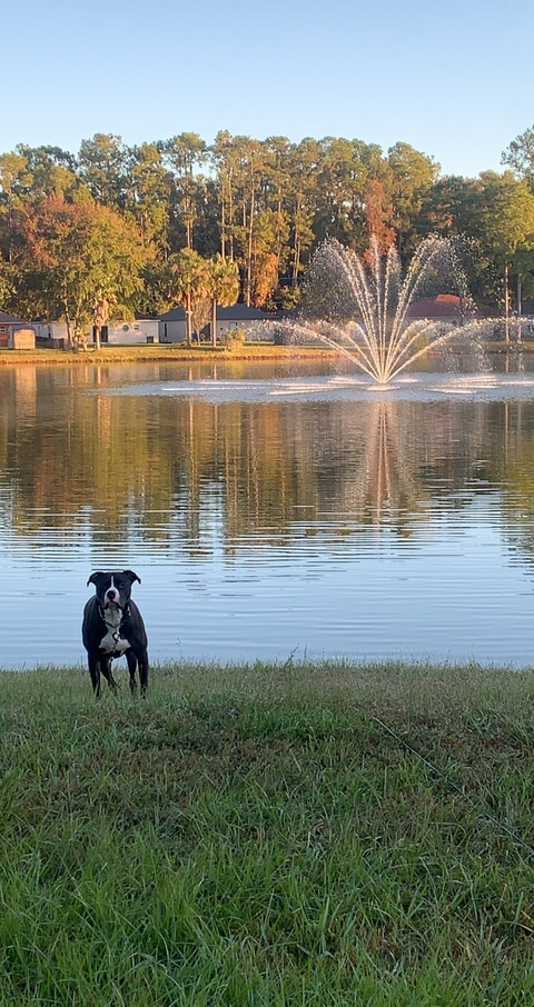 rummyrumrum onlyfans leaked picture 1