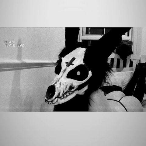 thelewdbunny onlyfans leaked picture 1