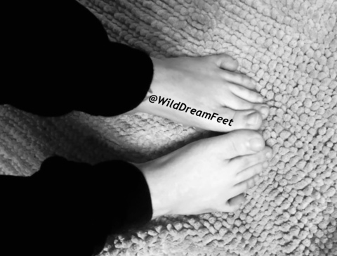 wilddreamfeet onlyfans leaked picture 1