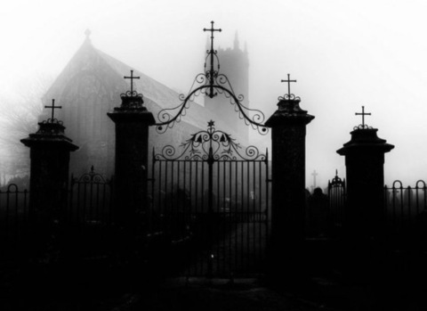 xenasins onlyfans leaked picture 1